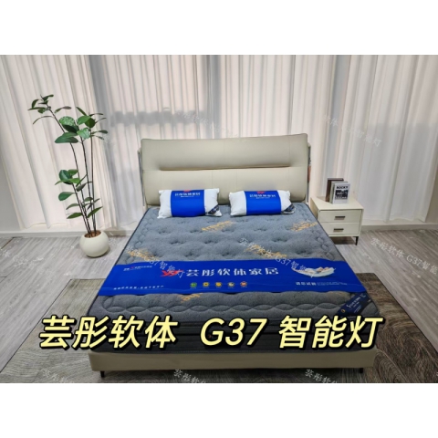 勝芳床鋪批發(fā) 雙人床 軟床 現(xiàn)代簡約軟床 北歐輕奢軟床 臥室家具 小戶型家具 高檔床 高端床 宇鑫家具