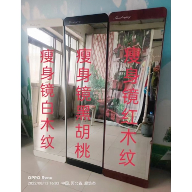 勝芳穿衣鏡批發(fā) 全身鏡 試衣鏡 落地鏡 服裝店鏡子 臥室長(zhǎng)鏡子 瘦身鏡 全身鏡 簡(jiǎn)約 立體 移動(dòng) 家用 天晟家具